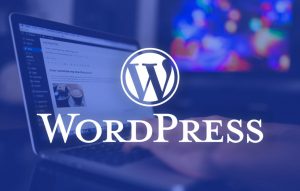 Website menggunakan wordpress